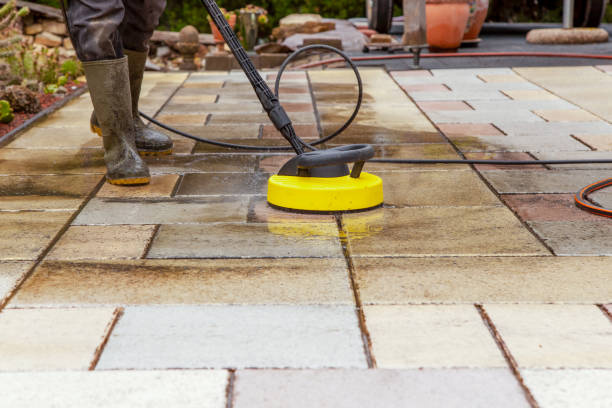 Best Solar Panel Cleaning  in Salina, UT