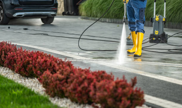 Best Fence Cleaning  in Salina, UT
